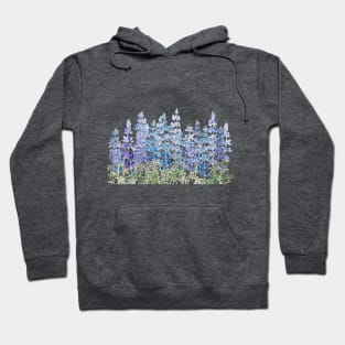 blue purple lupin flowers field horizontal Hoodie